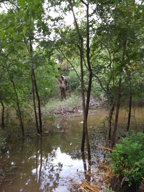 Purgatory Creek Natural Area